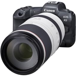 Canon RF 100-500mm F4.5-7.1L IS USM Zoom Lens 3