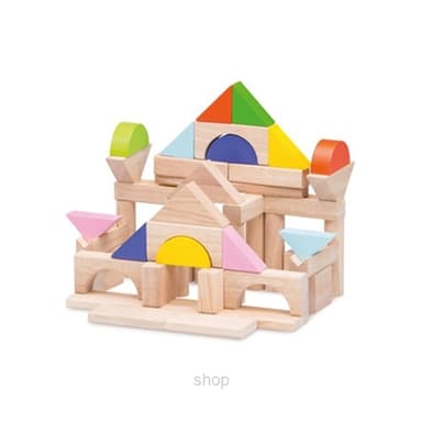 Wonderworld Toys 50 Pieces Block