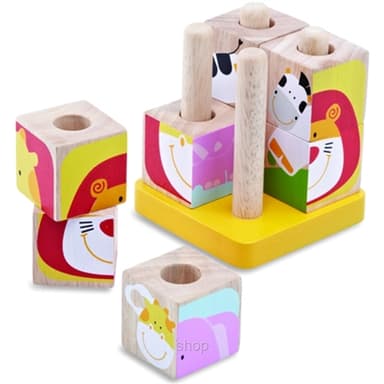 Wonderworld Toys Safari Cubes