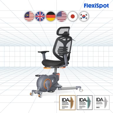 Flexispot Innovative Office Fitness Chair Deskbike V6 Pro