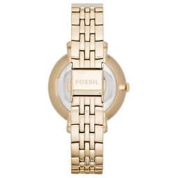 Fossil Women's Jacqueline Three-Hand Gold-Tone Stainless Steel Watch - ES3434 3
